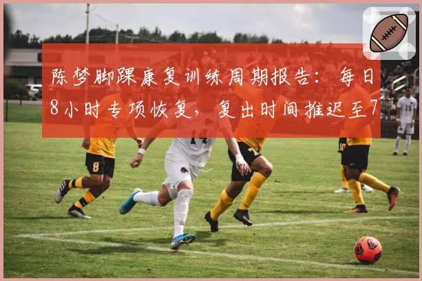 陈梦脚踝康复训练周期报告:每日8小时专项恢复,复出时间推迟至7月