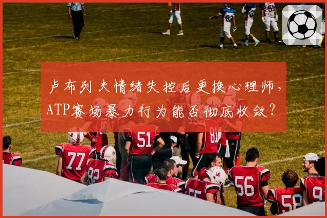 卢布列夫情绪失控后更换心理师，ATP赛场暴力行为能否彻底收敛？