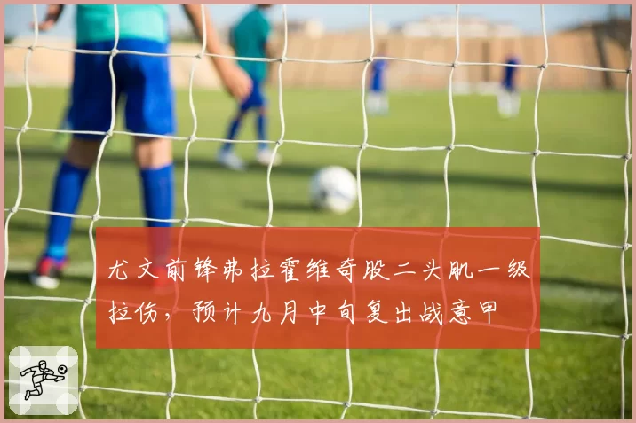 尤文前锋弗拉霍维奇股二头肌一级拉伤，预计九月中旬复出战意甲