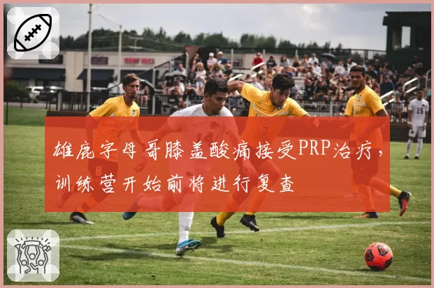 雄鹿字母哥膝盖酸痛接受PRP治疗，训练营开始前将进行复查