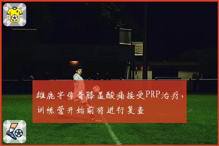 雄鹿字母哥膝盖酸痛接受PRP治疗，训练营开始前将进行复查