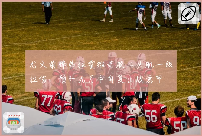 尤文前锋弗拉霍维奇股二头肌一级拉伤，预计九月中旬复出战意甲